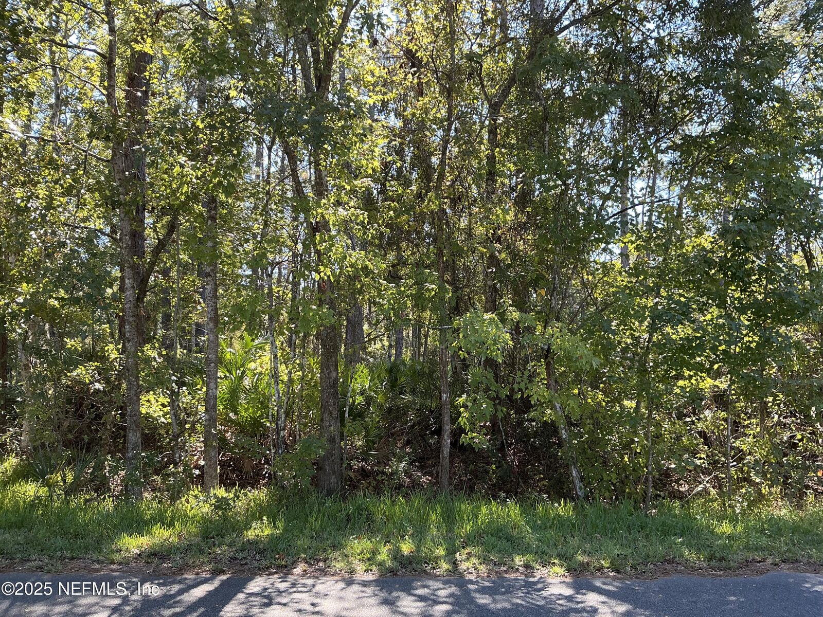 Property Photo: 127 Landmark Avenue FL 32189