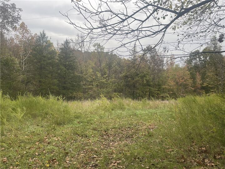 Property Photo:  618 Driftwood Drive  AR 72566 