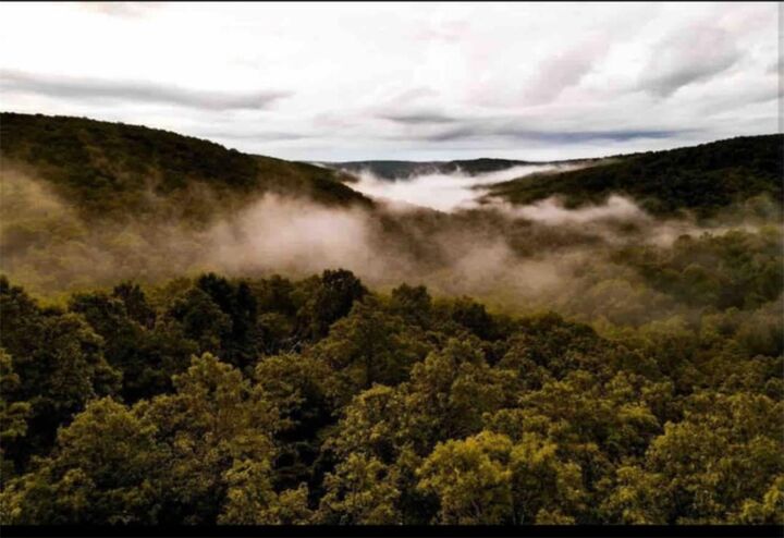 7342 Madison 3605 Road  Kingston AR 72742 photo