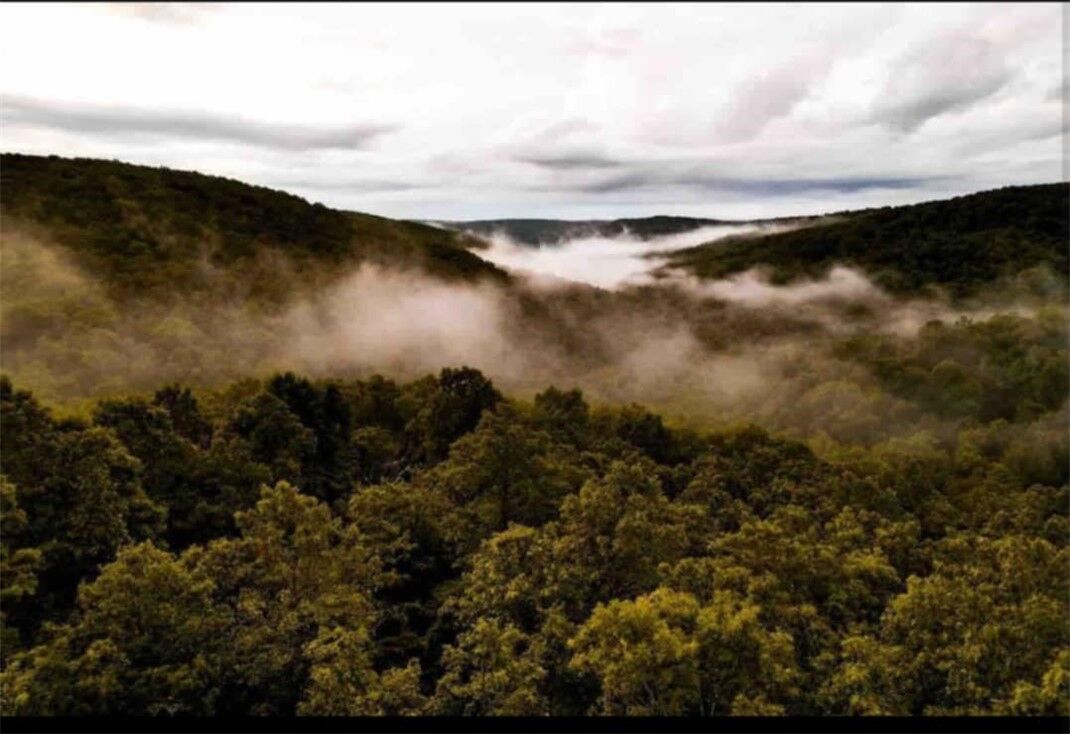 Property Photo: 7342 Madison 3605 Road AR 72742