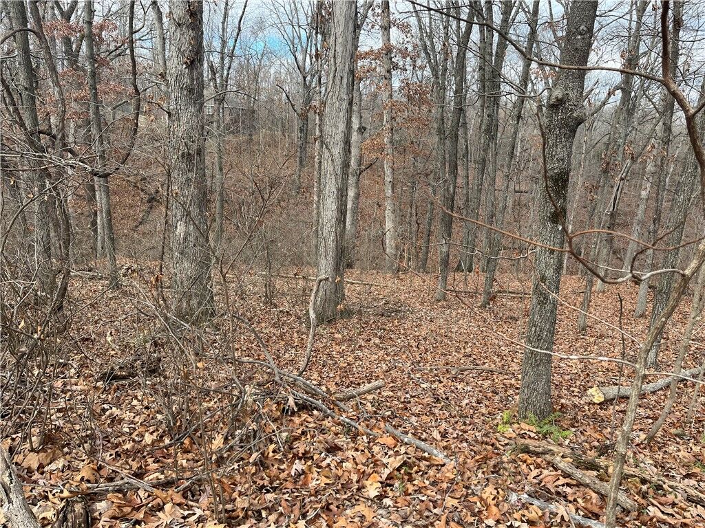 Property Photo:  Darst Lane  AR 72715 
