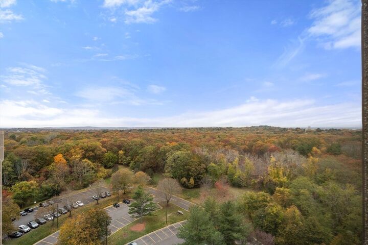 Property Photo: 250 Hammond Pond Parkway 1604N MA 02467