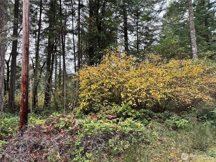 Property Photo: 10824 Madrona Drive WA 98303