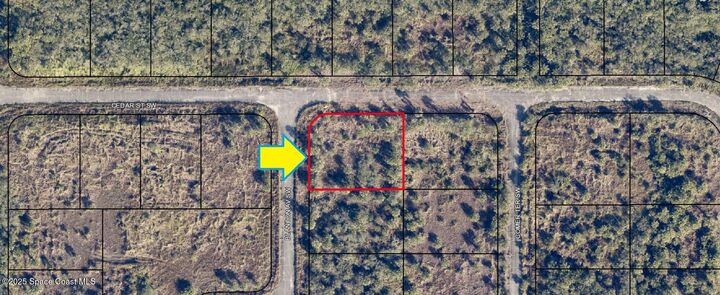 Property Photo:  1901 Blanton Avenue SW  FL 32908 