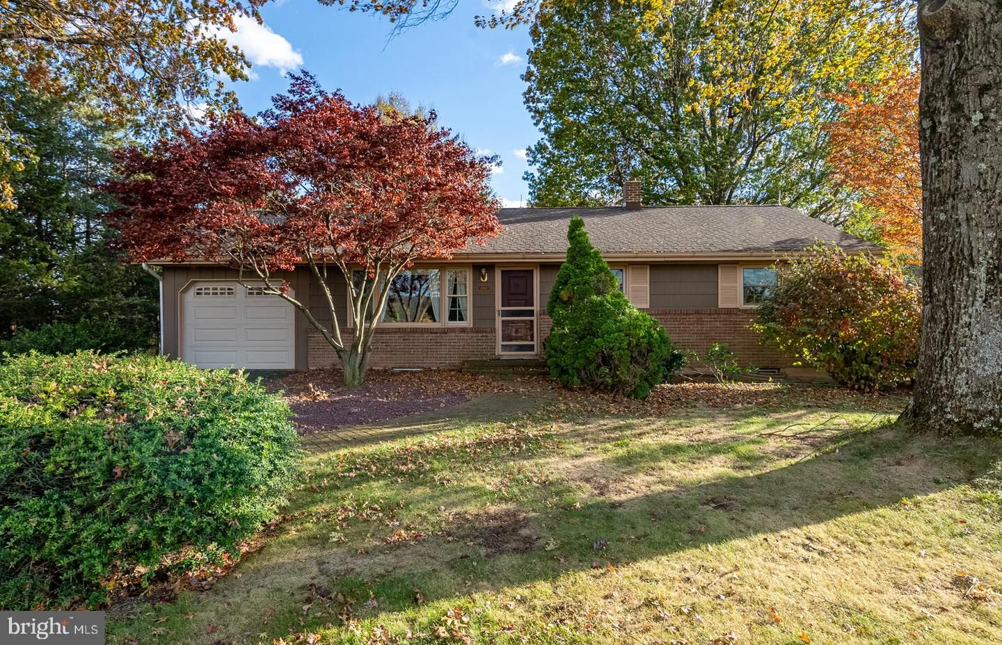 Property Photo:  207 Laurel Avenue  PA 19526 