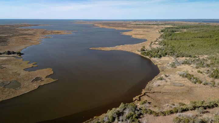 Property Photo: 50 Ac Belinda Rd VA 23426