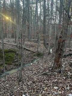 Property Photo:  00 River Ridge Trail  GA 31087 