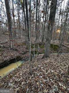 Property Photo:  0 River Ridge Trail  GA 31087 