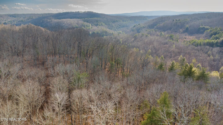 Property Photo: 258 Charlie Newberry Rd TN 37770