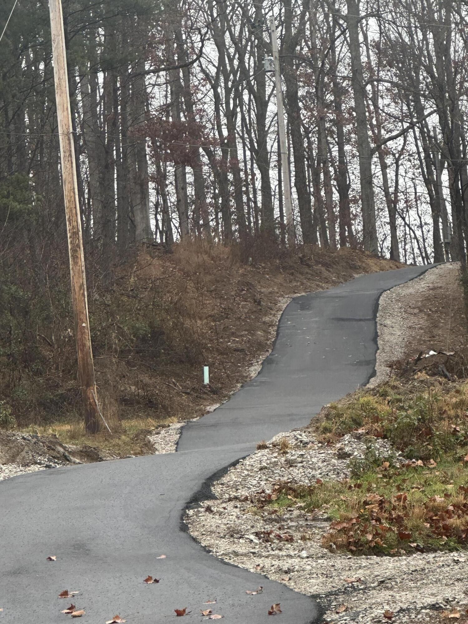 Property Photo:  249. Tract C Freeman Branch Road  KY 40729 