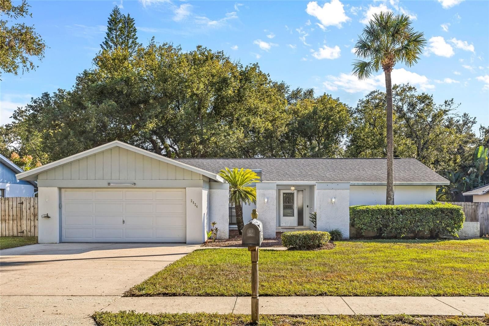 Property Photo: 2824 Rustic Oaks Drive FL 34684