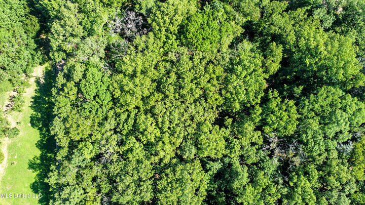 Property Photo:  0 Lakeridge Lane  MS 39056 