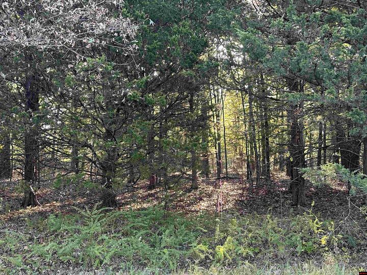 Property Photo:  002-04923-009 Hand Cove Road  AR 72531 