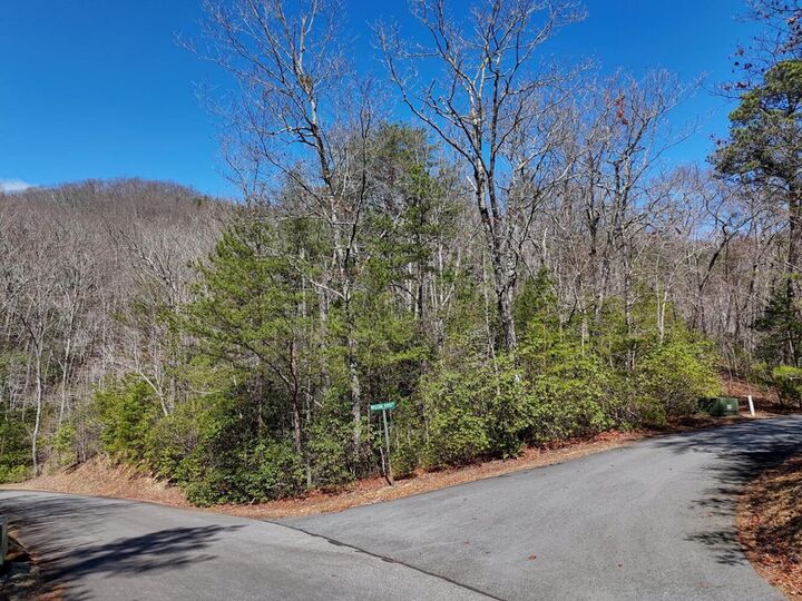 Property Photo: Lt24 Mission Ridge Court NC 28904