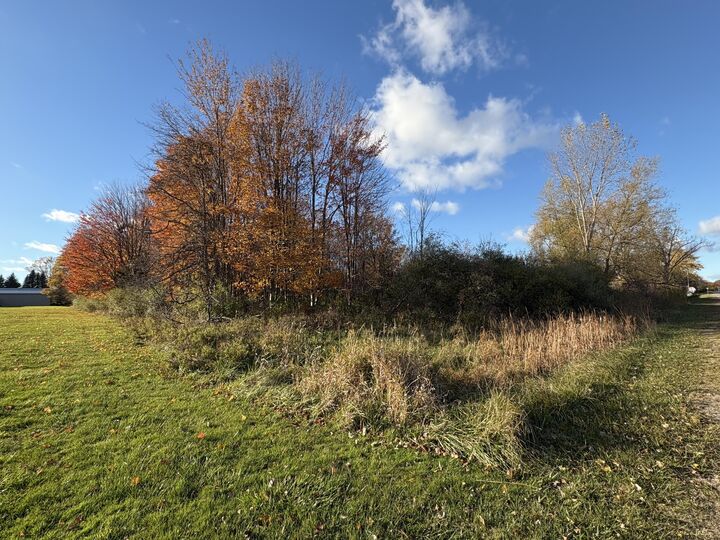 Property Photo:  2930 S Blue Star Highway  MI 49406 