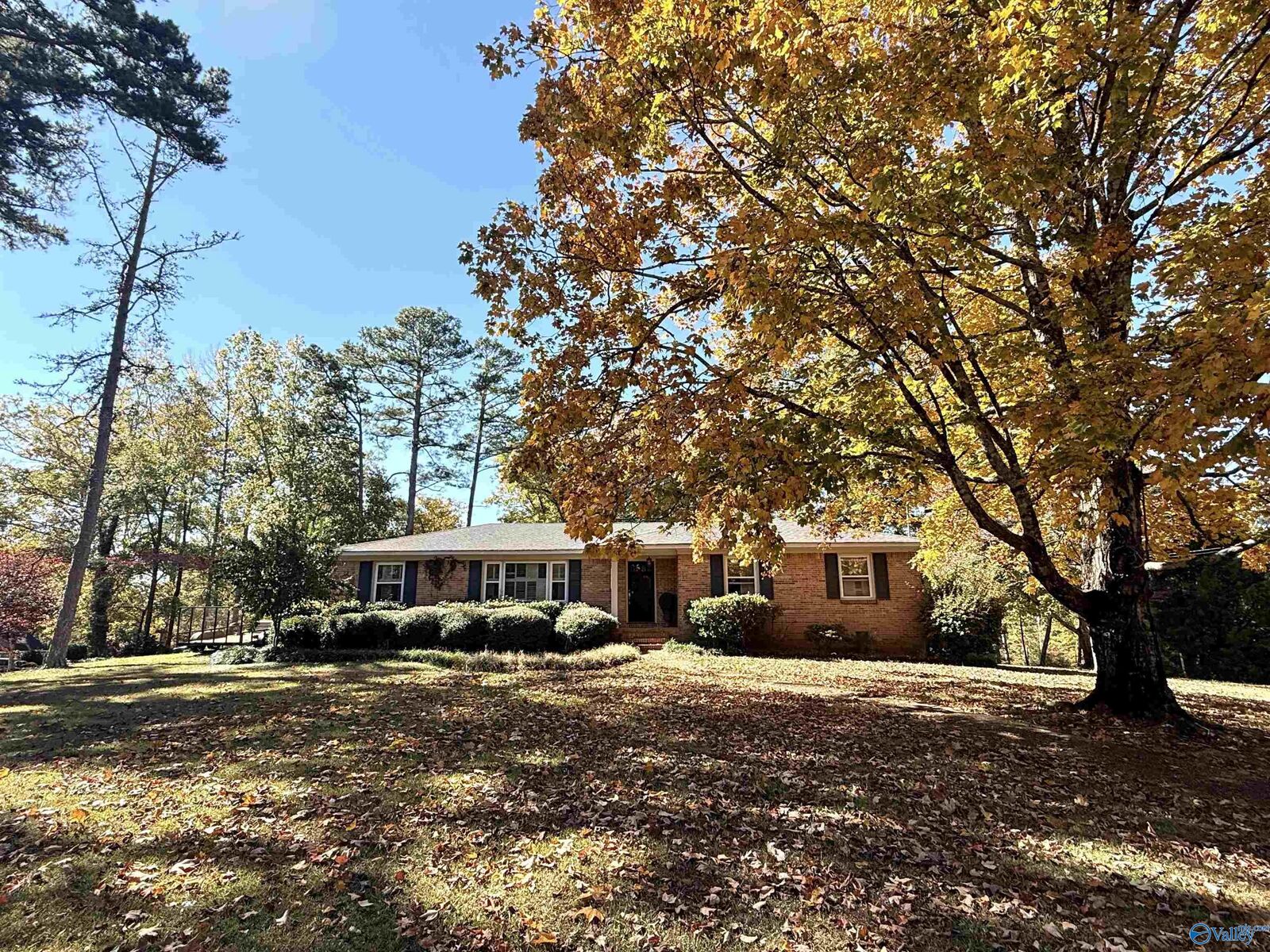 Property Photo: 121 Merit Circle AL 35901