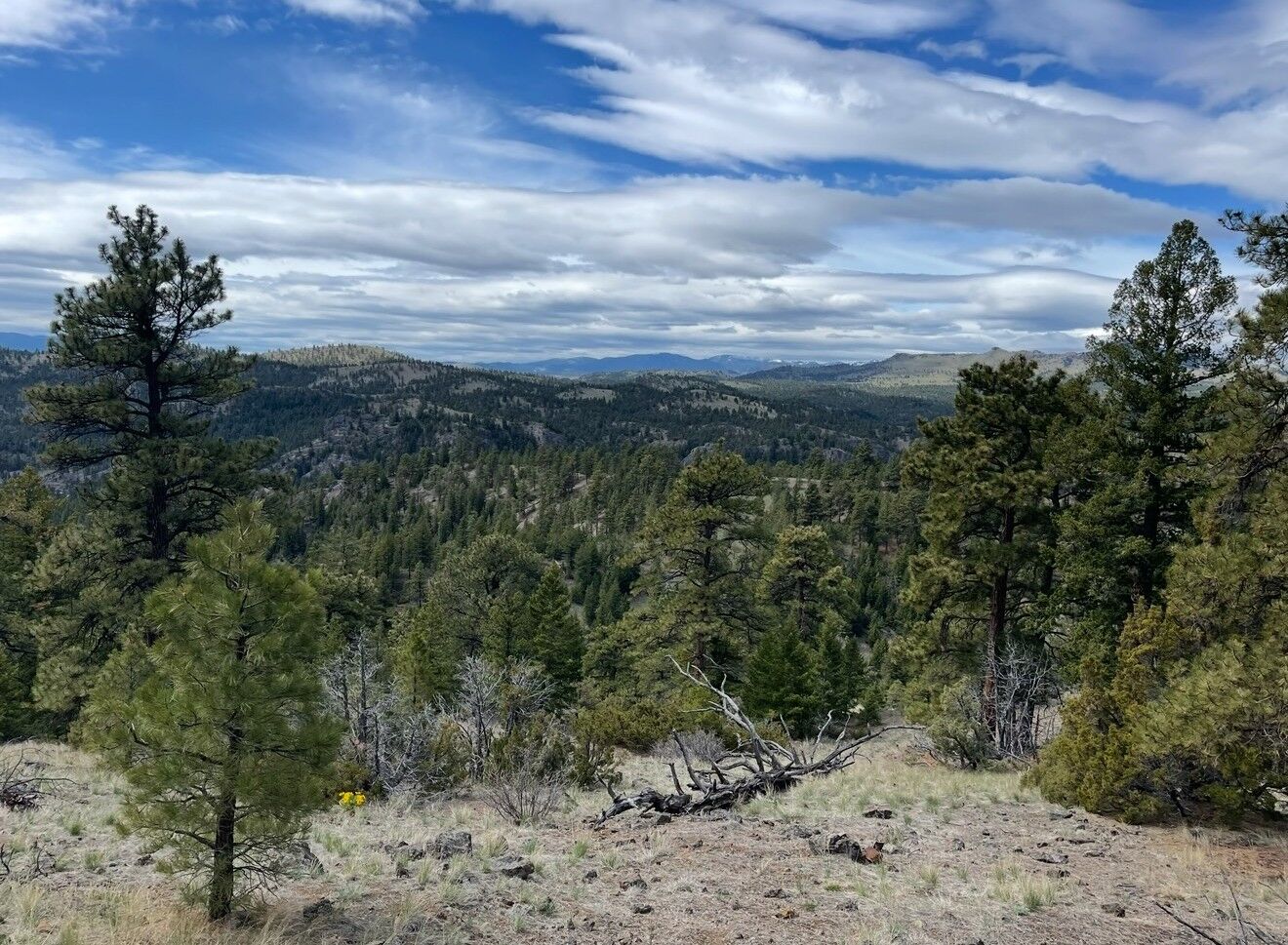 Property Photo:  100 Dryfork Lane  MT 59421 