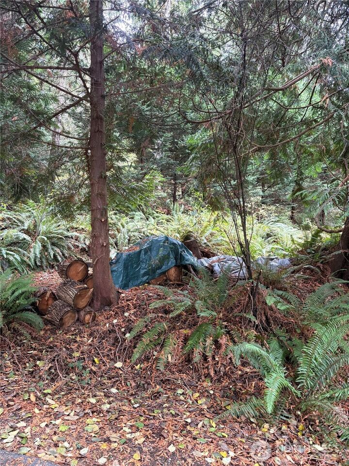 Property Photo: 1131 Harbortop Terrace WA 98253