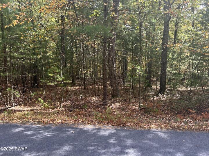 Property Photo: Lot 24 White Pine Drive PA 18328