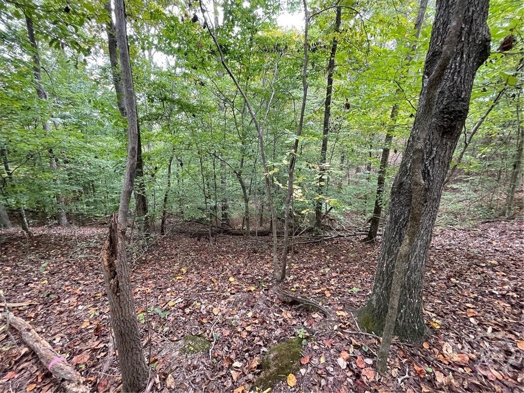 Property Photo: Lot 296 Oconee Avenue SC 29693