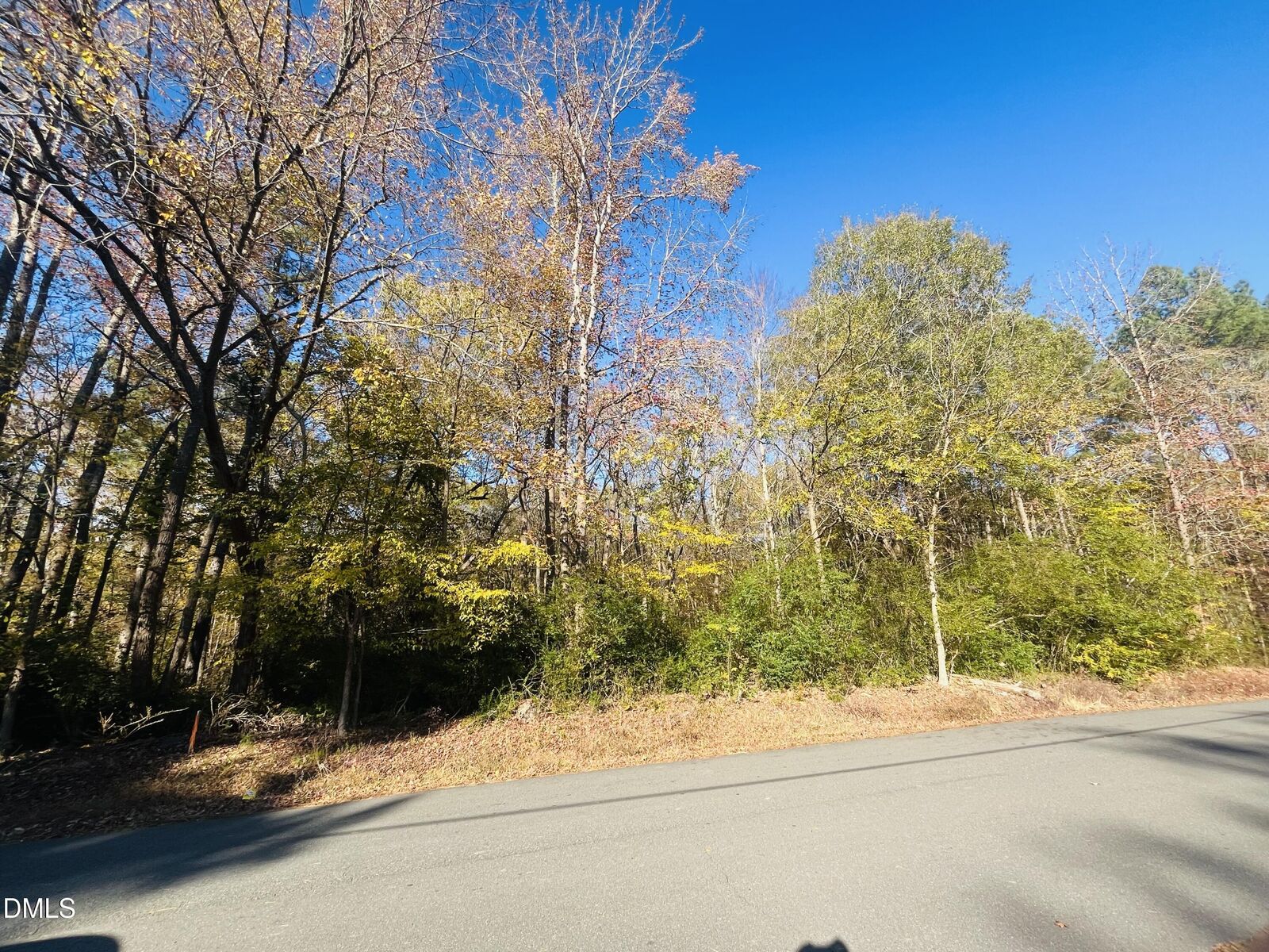 Property Photo: 403 Watson Street NC 27522