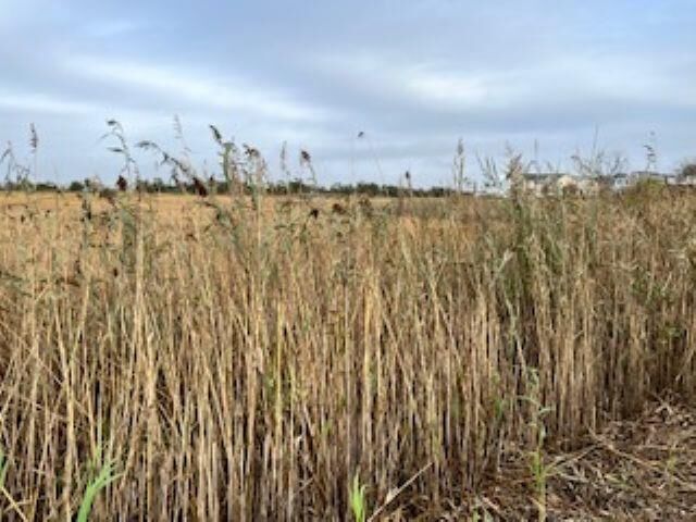 Property Photo: W Memphis NJ 08260