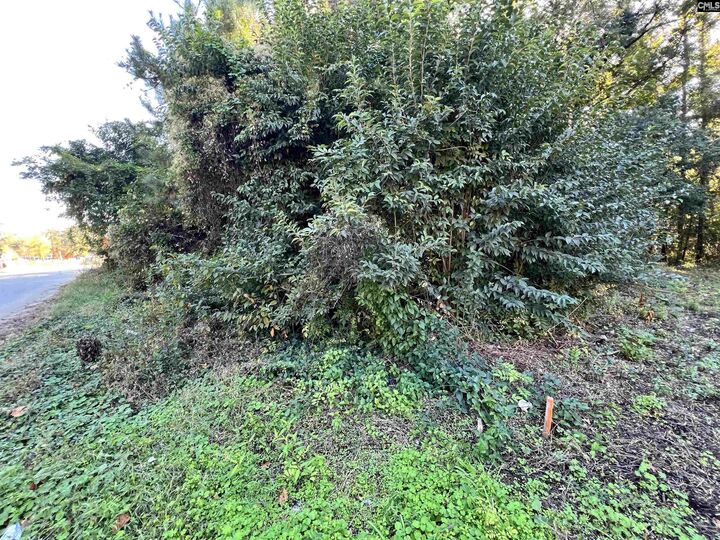 Property Photo: 1704 Smith SC 29209