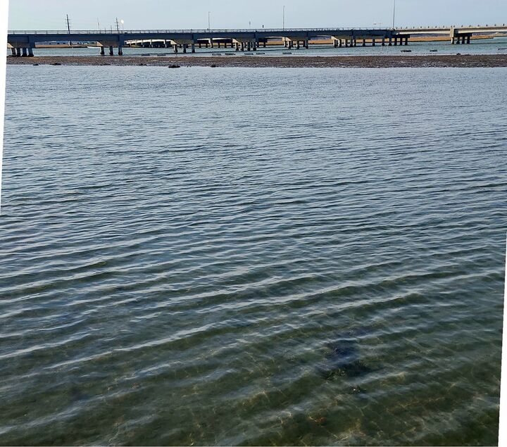 Property Photo:  Lot #5 Marsh Island Dr  VA 23336 