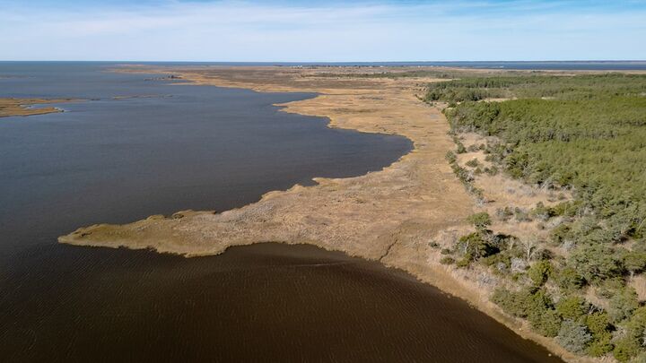 Property Photo:  50 Ac Belinda Rd  VA 23426 