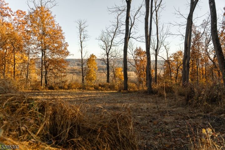 Property Photo:  0 Asbury Broadway Road  NJ 08802 