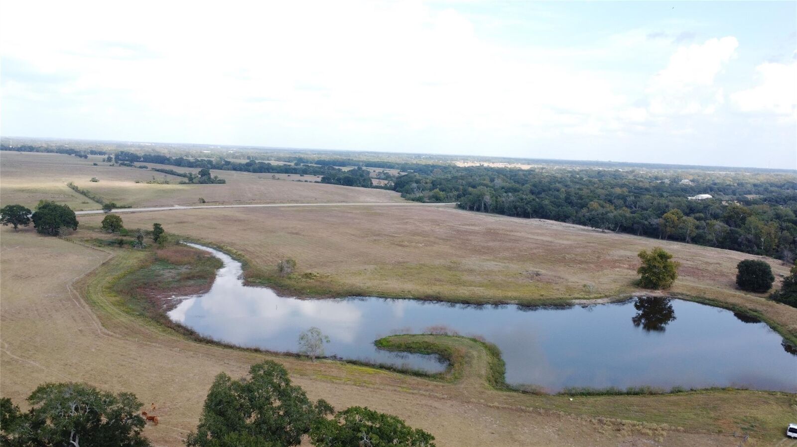 Property Photo:  0 Fm 3346  TX 77445 