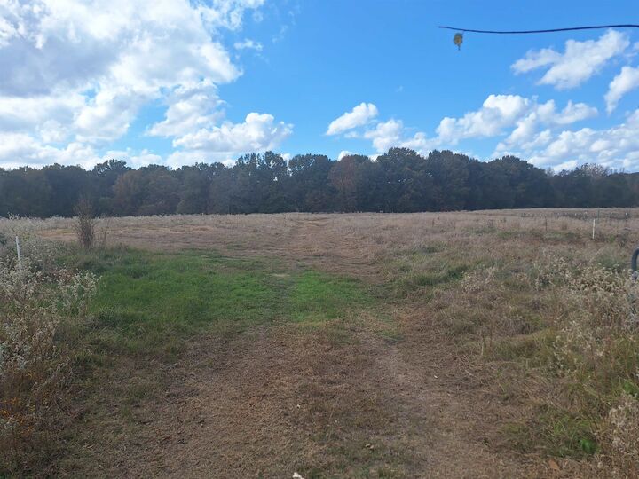 Property Photo: Tbd Cr 3070 TX 75558