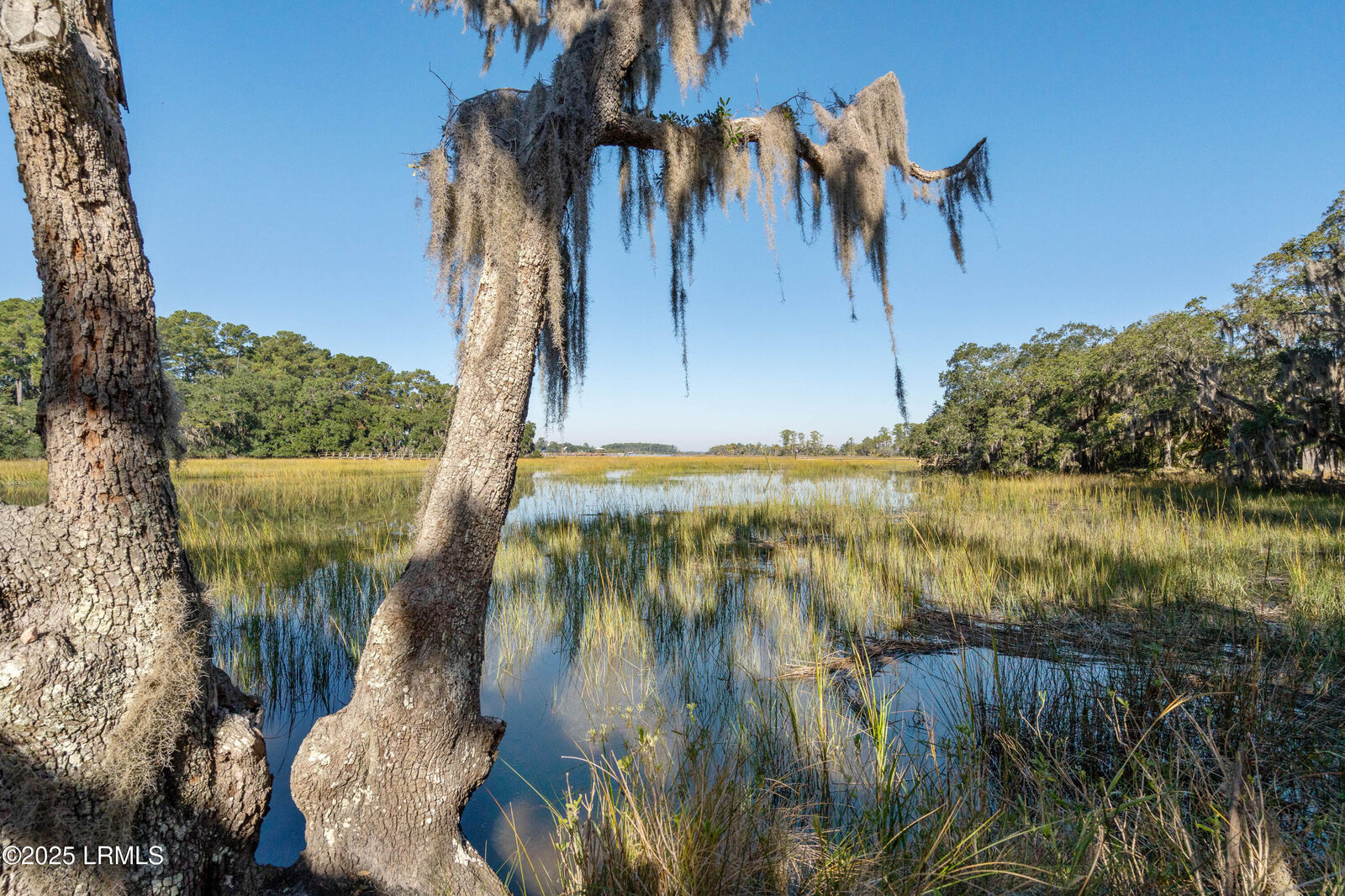 Property Photo: 351 Brickyard Point Road N SC 29907