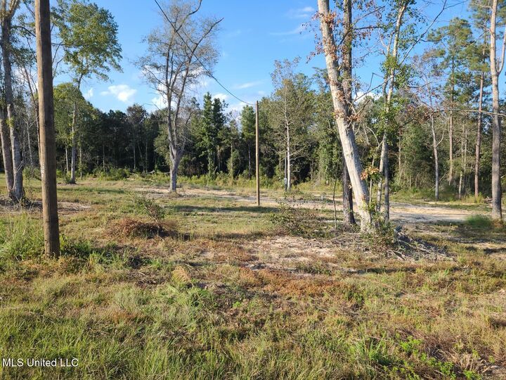 Property Photo:  2 Go Go Road  MS 39470 