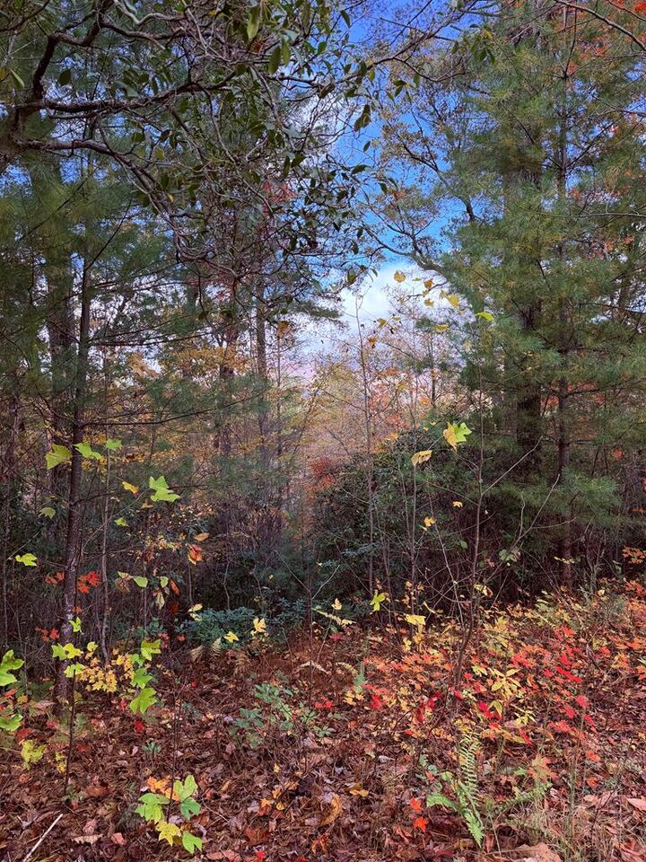 Property Photo:  Lot 26 Our Hidden Mountain  NC 28906 