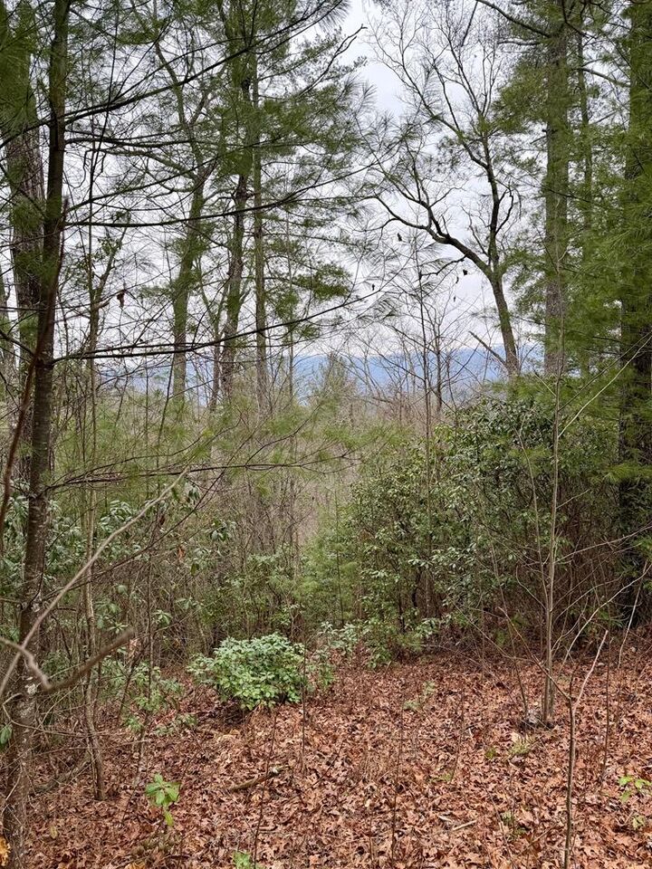 Property Photo:  Lot 26 Our Hidden Mountain  NC 28906 