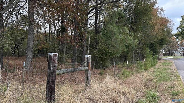 Property Photo:  Tbd Mt Carmel Road  AL 35622 