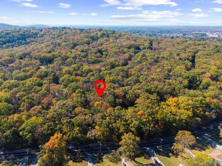 Property Photo: 10005 Bayreuth Drive AL 35803