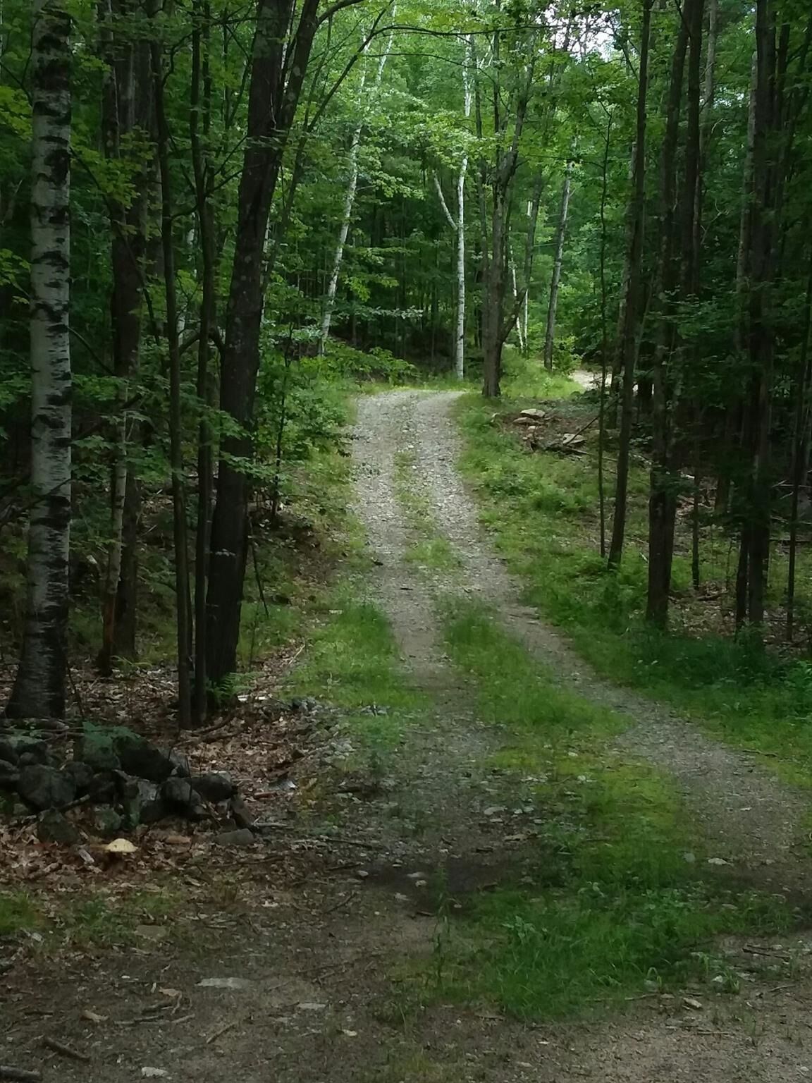 Property Photo: 00 Old Wolfeboro Road NH 03809