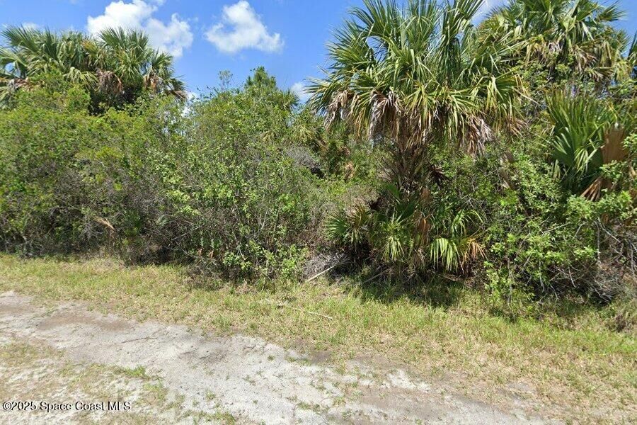 Property Photo:  645 Akola Terrace SW  FL 32908 