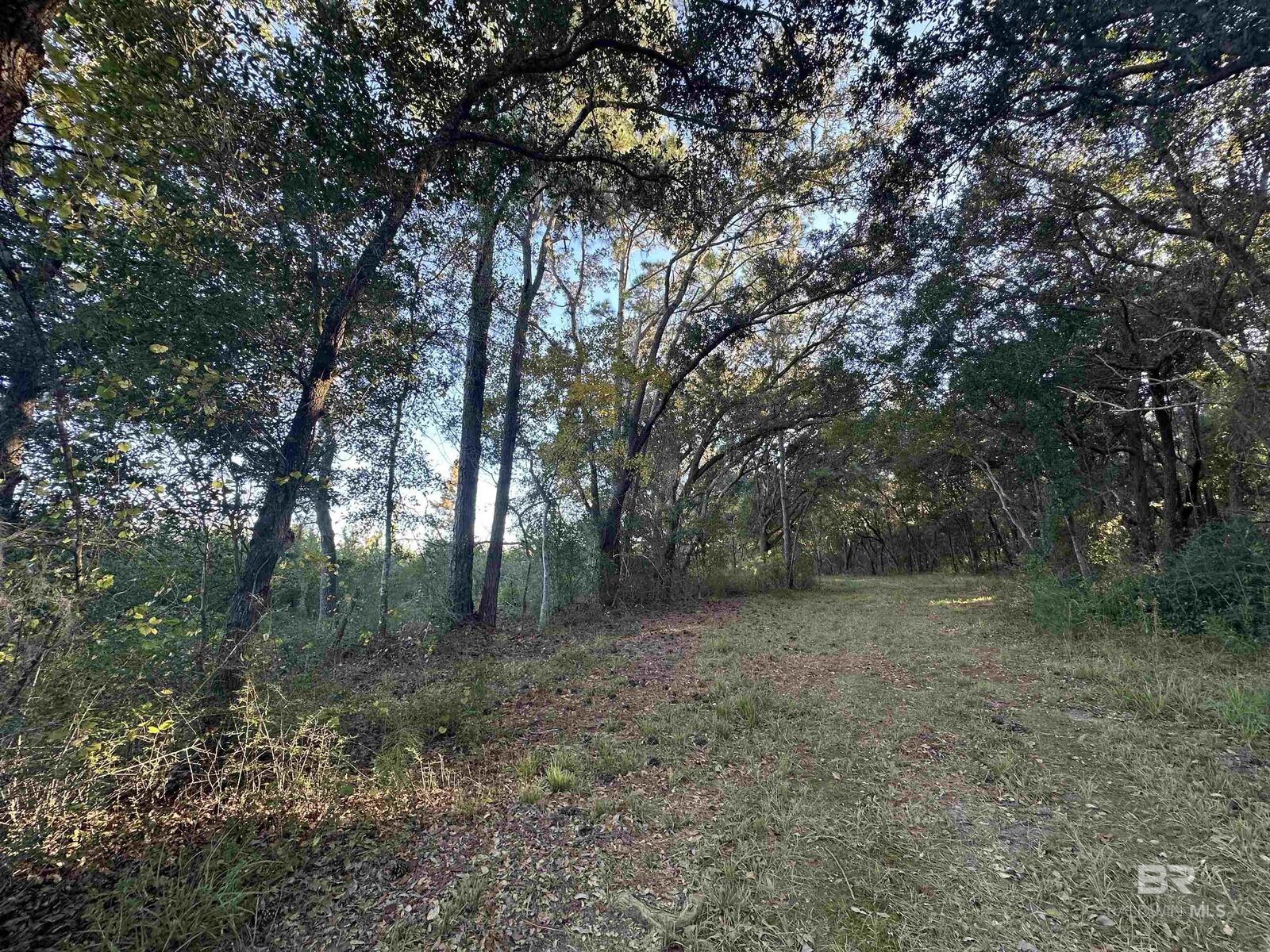 Property Photo: 0 Benton Road AL 36535
