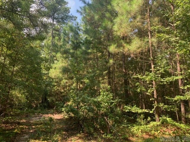 Property Photo:  Lot 2 And 3 Oklahoma Inn Rd  AR 72015 