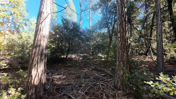 Property Photo: 22443 Broken Bough Ln CA 95383