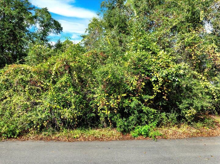 Property Photo: 149 Palmetto Avenue FL 32439