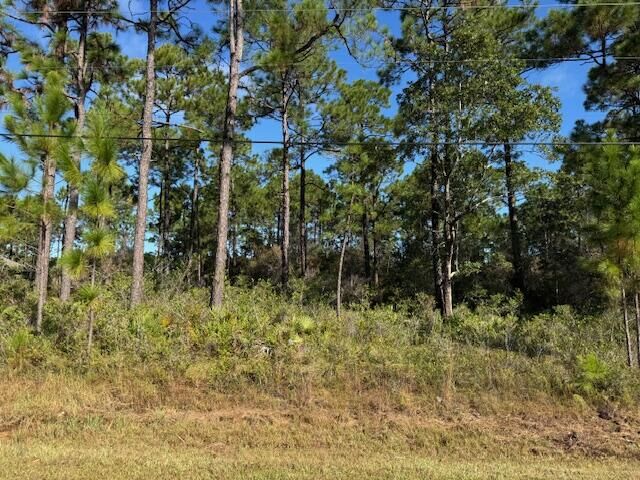 Property Photo:  6752 Redfield Street  FL 32566 