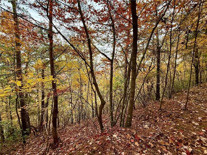 Property Photo:  526 Fedorak Court  GA 30734 