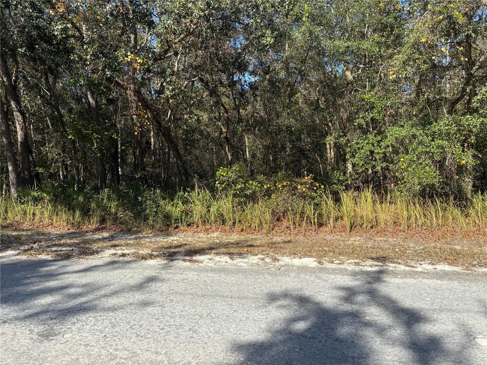 Property Photo:  Arrowrock Street  FL 33597 