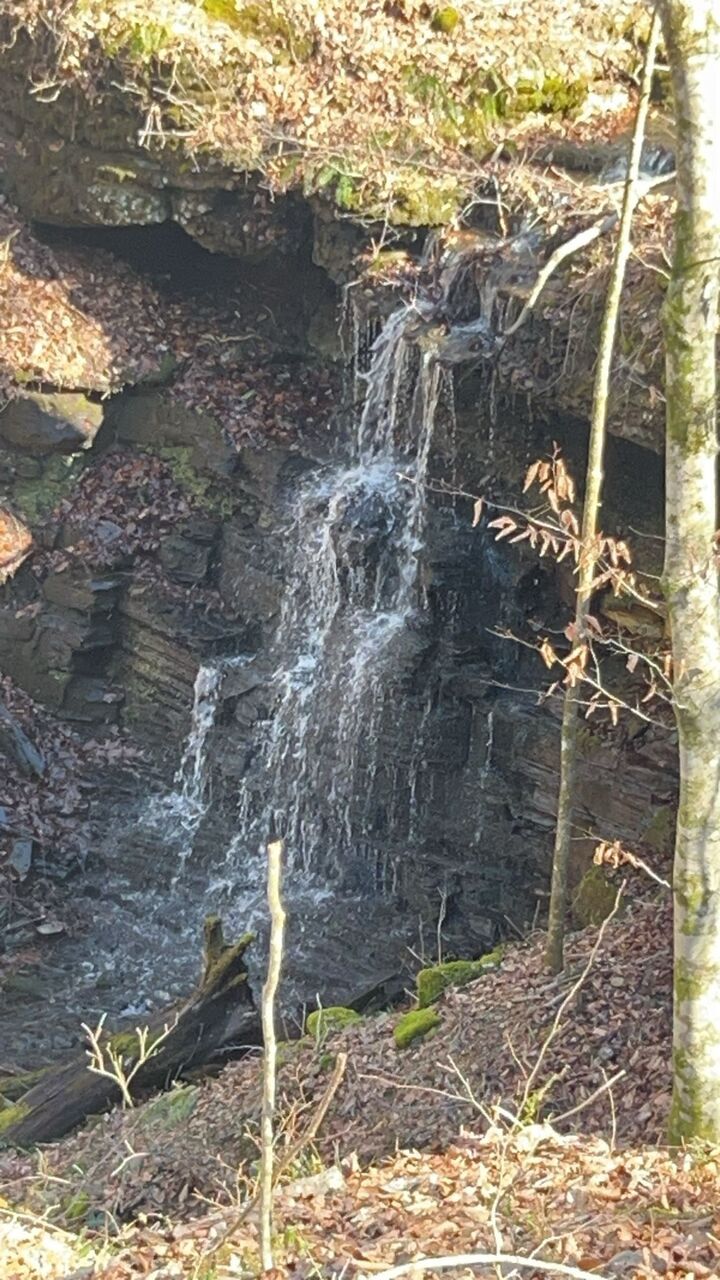 Property Photo: 0 Grosch TN 37388