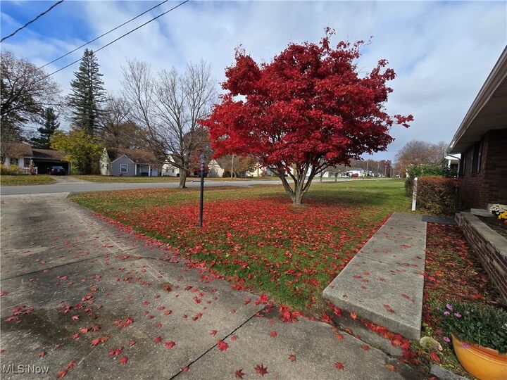 Property Photo:  937 S Hazelwood Avenue  OH 44509 