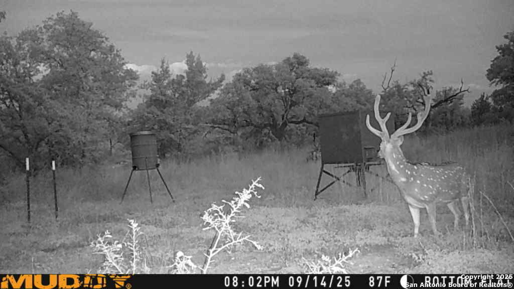 Property Photo:  Lot 2 Live Oak Ridge  TX 78003 